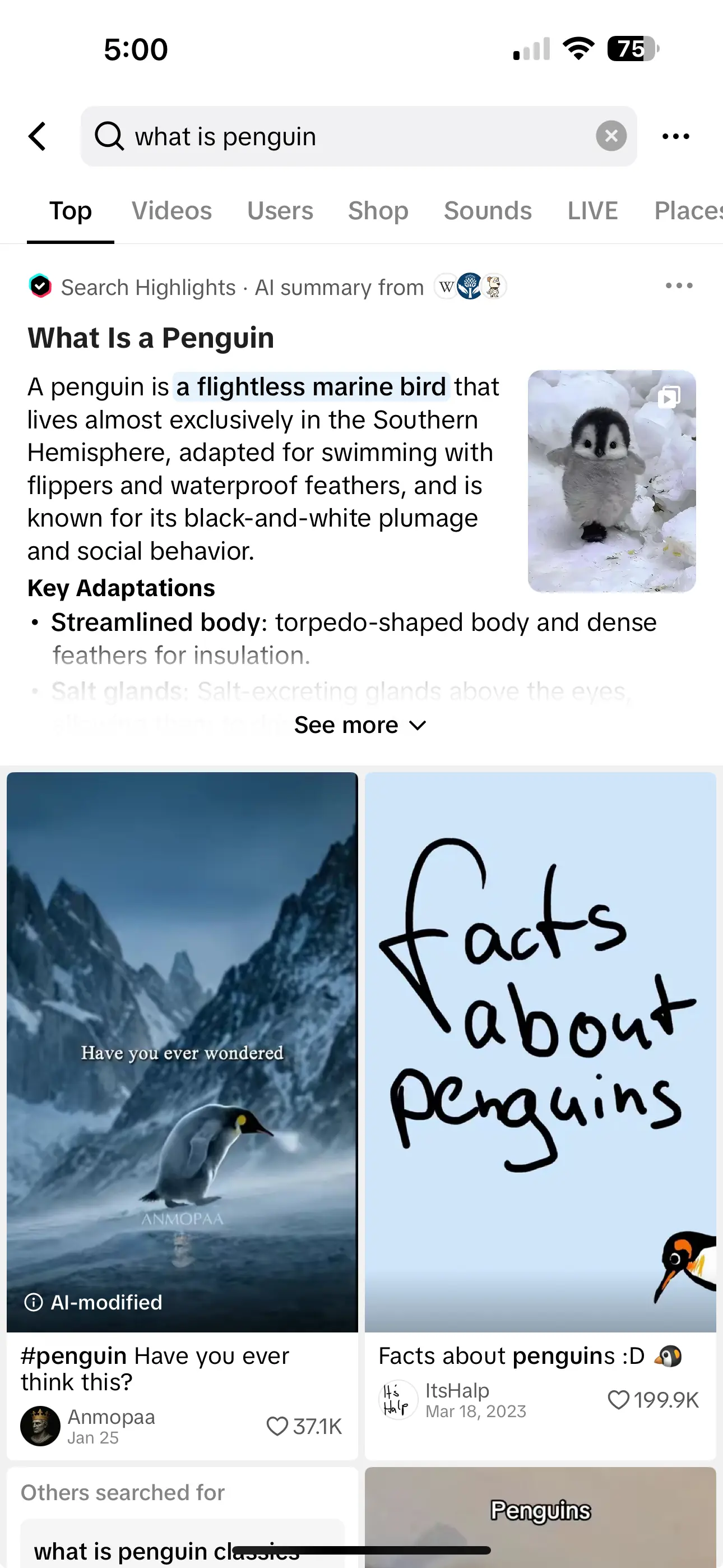 TikTok AI search result for penguins