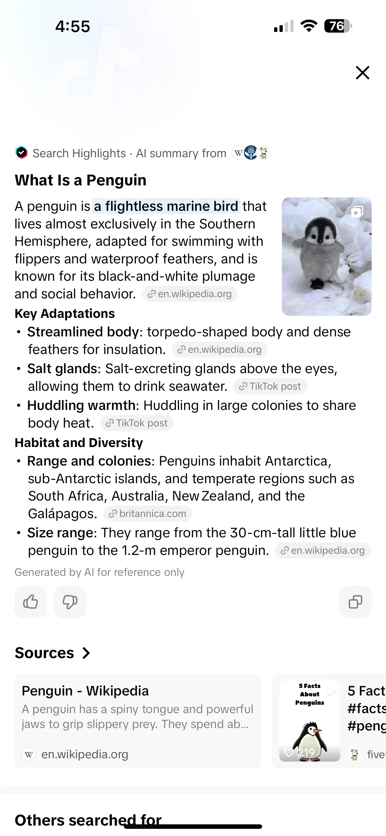 TikTok AI search result interface